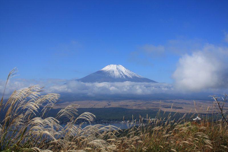 f:id:aohige0718:20181119172958j:plain 太平山から富士山の絶景