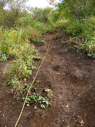 f:id:aohige0718:20181119173036j:plain 石割山登山道ルートが悪く