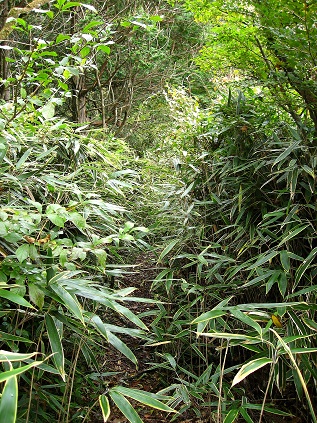 f:id:aohige0718:20181119173058j:plain 石割山から御正体山のルート