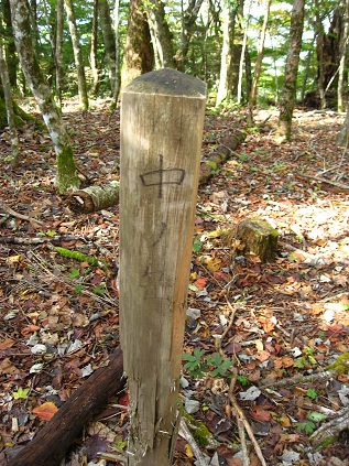 f:id:aohige0718:20181119173125j:plain 御正体山手前の中ノ岳