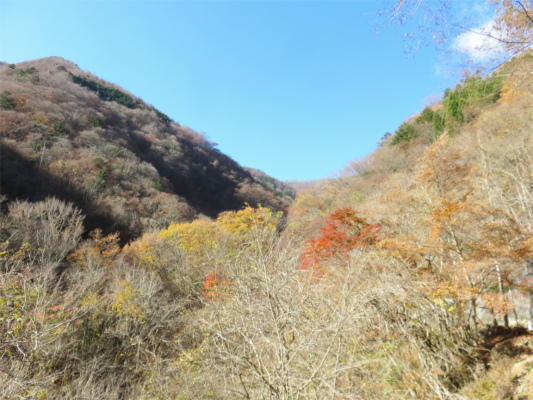 f:id:aohige0718:20181125133534j:plain 三条の湯周辺の禿山