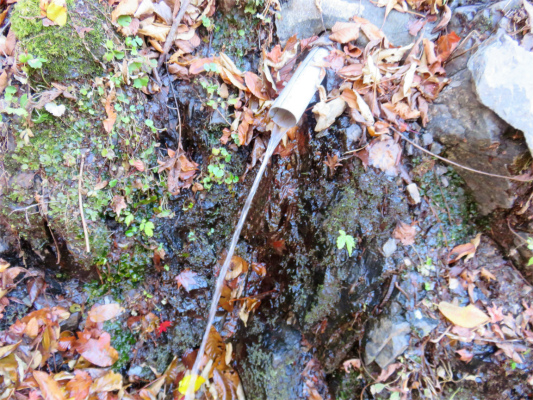 f:id:aohige0718:20181125133721j:plain 三条の湯水場