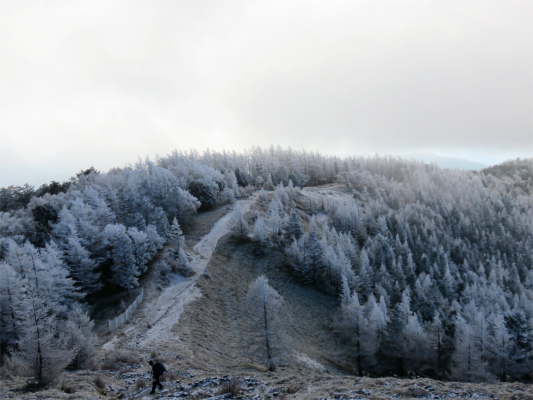 石尾根霧氷の世界