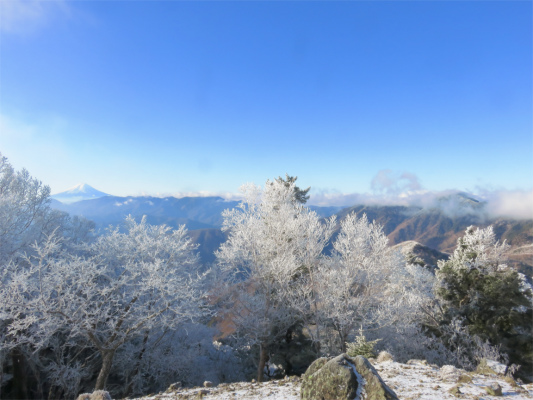 富士山と霧氷