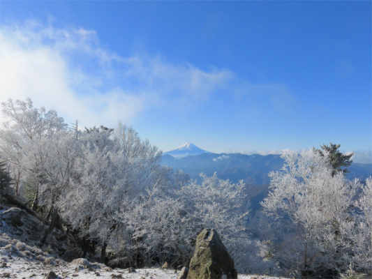 霧氷富士山展望