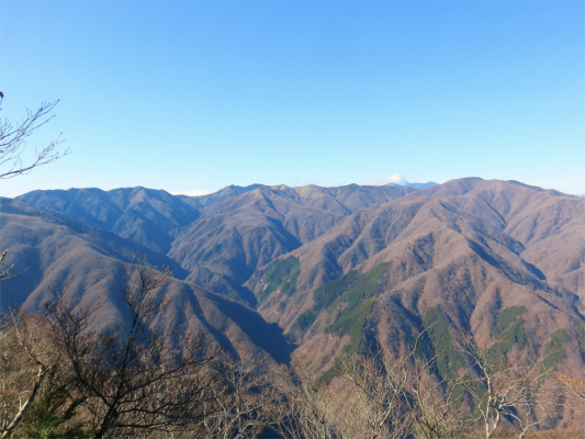 白岩小屋のテント場周辺からの景色