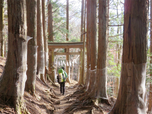 鳥居左手にいくと霧藻ヶ峰・右手に行くと三峯神社方面