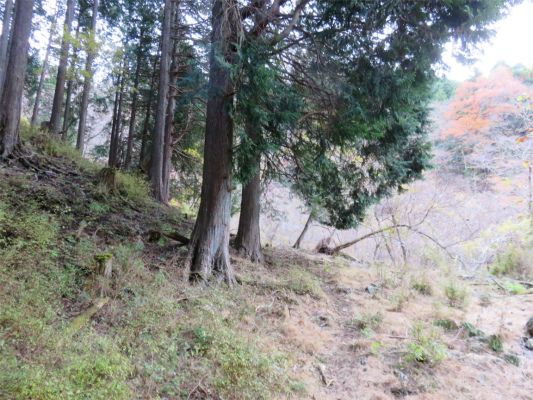 マルガヤ尾根踏み跡