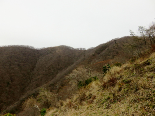 鍋割山の登山道