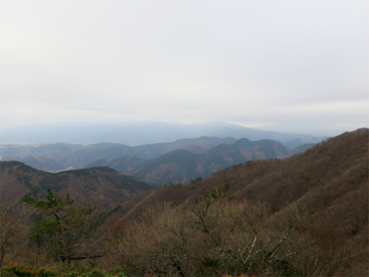 天気が良いと富士山・箱根の山が綺麗