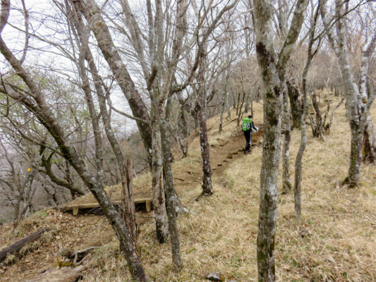 鍋割山稜と合流