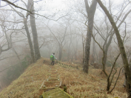 f:id:aohige0718:20181205225244j:plain 尊仏山荘からユーシンロッジへ向かう登山道