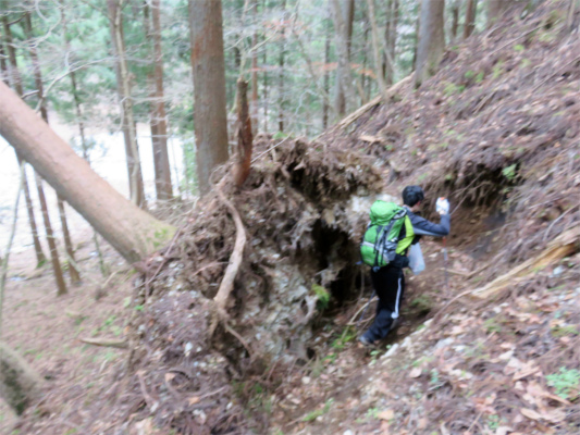 f:id:aohige0718:20181205225308j:plain 尊仏ノ土平へ向かう荒れた登山道