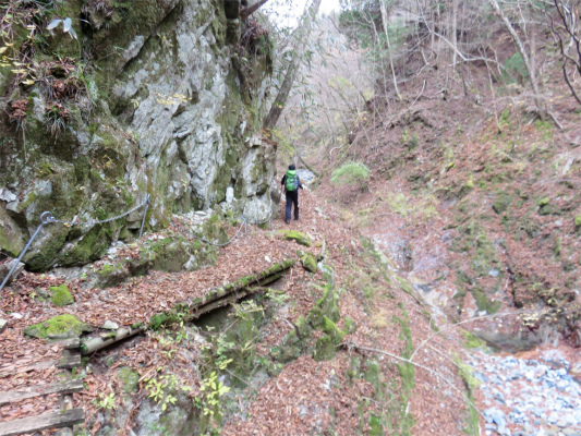 f:id:aohige0718:20181205225922j:plain 落ち葉で滑りやすい登山道