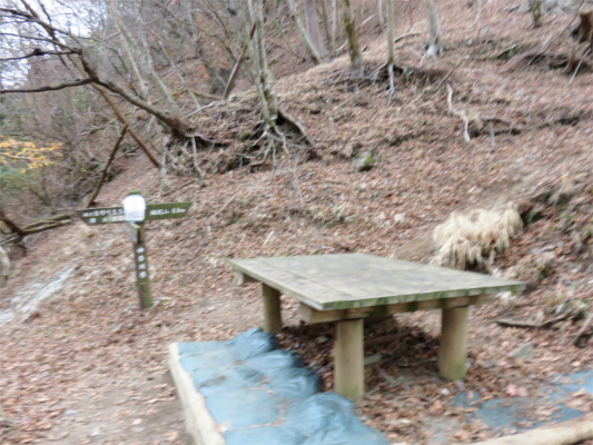 f:id:aohige0718:20181205230036j:plain 雨山峠の登山道