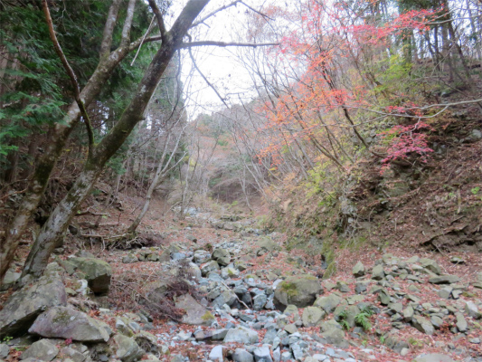 f:id:aohige0718:20181205230113j:plain 雨山峠から寄へ向かう登山コース