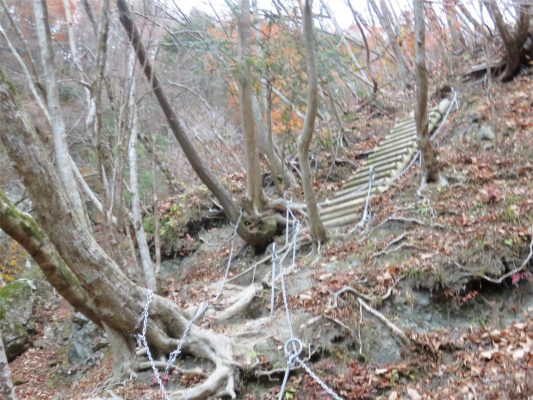 f:id:aohige0718:20181205230134j:plain 雨山峠から寄へ向かう鎖場と階段