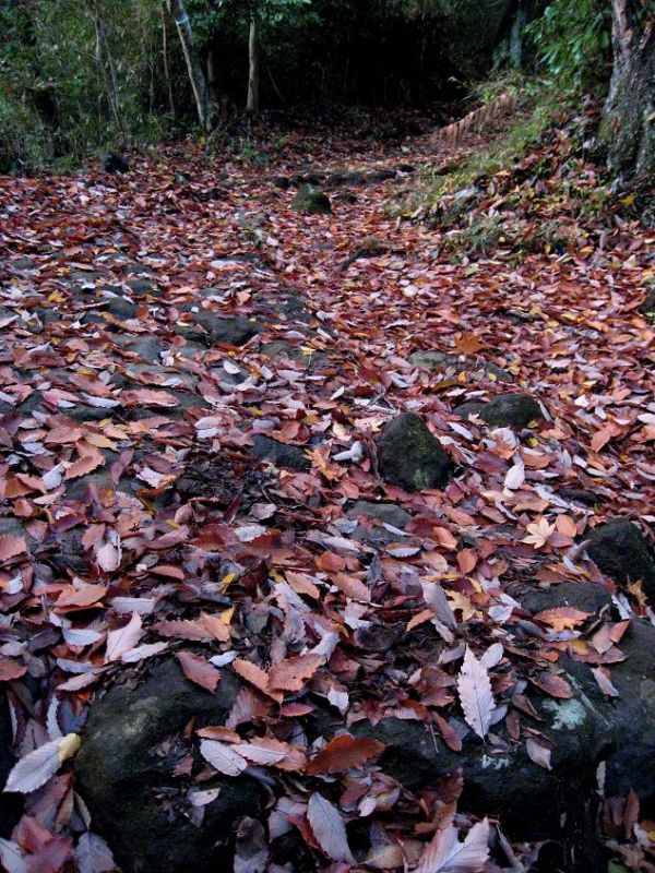 f:id:aohige0718:20181221215730j:plain 箱根ハイキング石畳み