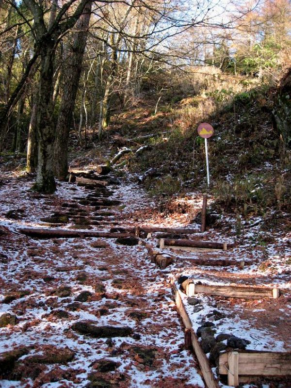 f:id:aohige0718:20181221215830j:plain 鷹ノ巣山まで地味に登り