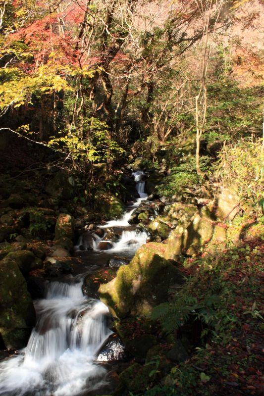 f:id:aohige0718:20181221215921j:plain 飛竜ノ滝散策