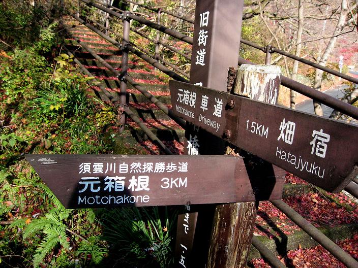 f:id:aohige0718:20181221220147j:plain 須雲川自然探勝歩道