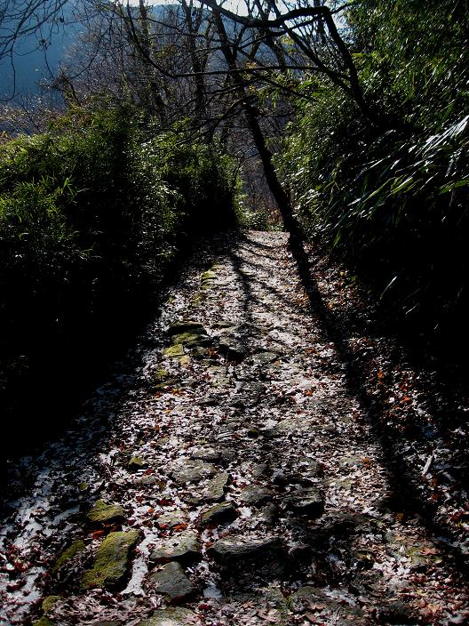 f:id:aohige0718:20181221220153j:plain 須雲川自然探勝歩道昔の石畳み