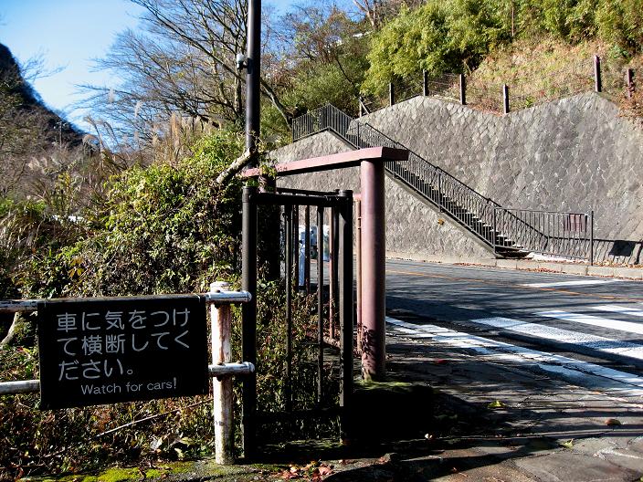 f:id:aohige0718:20181221220200j:plain 写真奥に見えている階段須雲川自然探勝歩道ルート