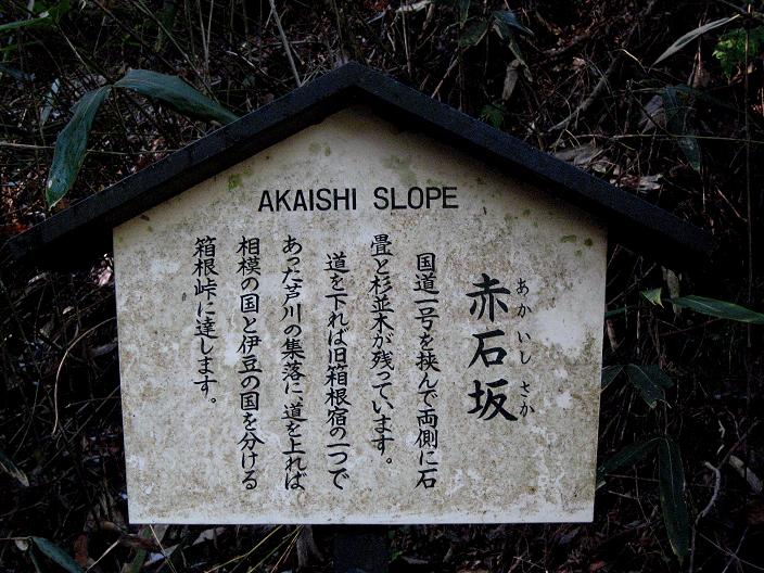 f:id:aohige0718:20181221220255j:plain 赤石坂