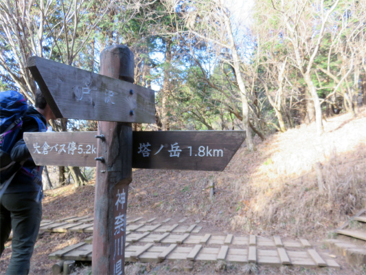 天神尾根・大倉尾根の分岐