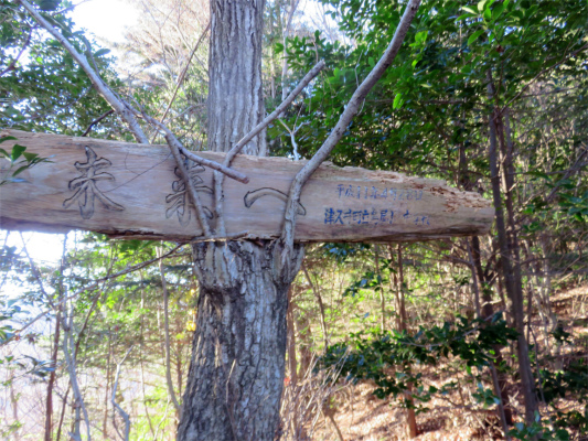 姫次・黍殻避難小屋・太平・松茸山で丹沢主脈縦走登山!(後編