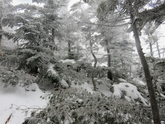 絶望的な雪山登りの斜面