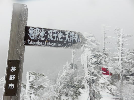 看板の裏から北横岳お鉢巡りのルート