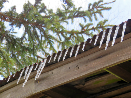 七ッ石小屋ツララ