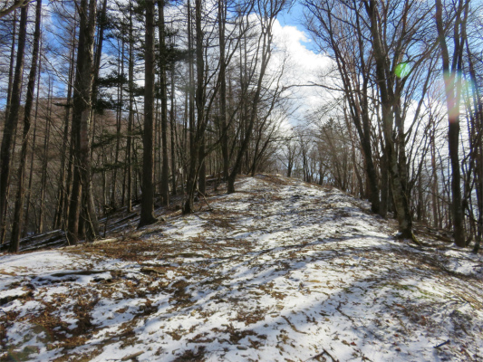 ブナ坂周辺は雰囲気が良い