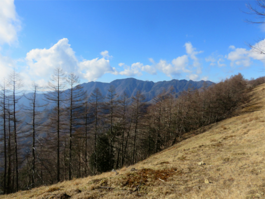 飛龍山と奥秩父主脈縦走路