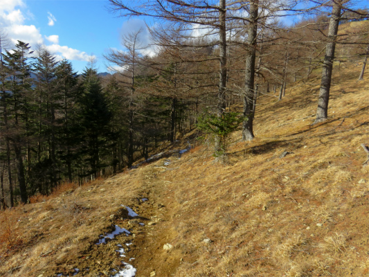 奥多摩小屋の水場道