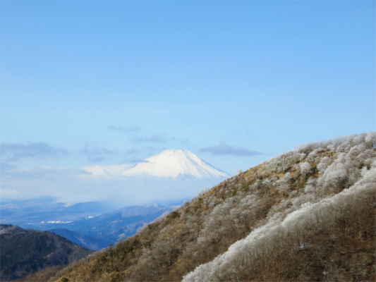 f:id:aohige0718:20190211204804j:plain 富士山の景色
