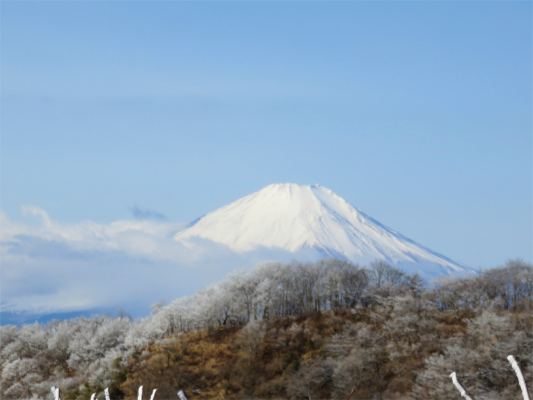 f:id:aohige0718:20190211205213j:plain 富士山景色が本当に綺麗