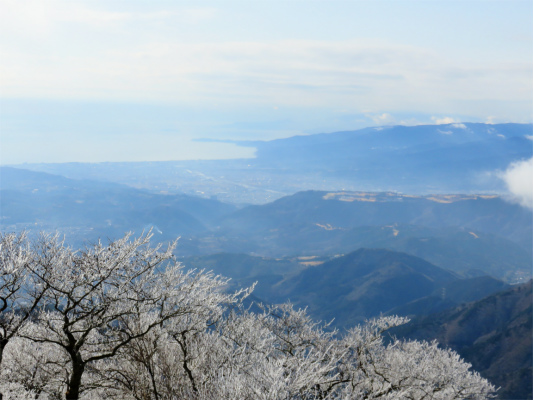 f:id:aohige0718:20190211205240j:plain 霧氷と真鶴半島