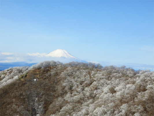 f:id:aohige0718:20190211205247j:plain 富士山と鍋割山方面の冬景色