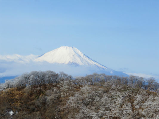 f:id:aohige0718:20190211205253j:plain 富士山