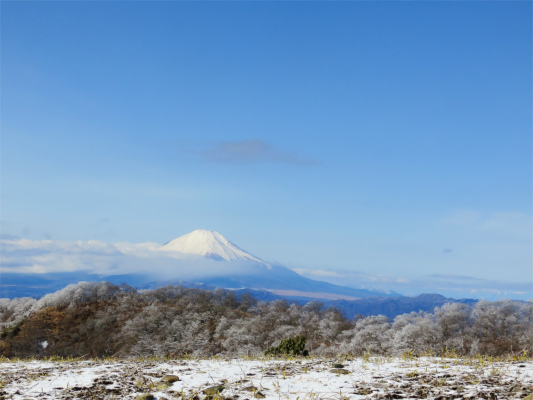 f:id:aohige0718:20190211205310j:plain 丹沢からみる富士山