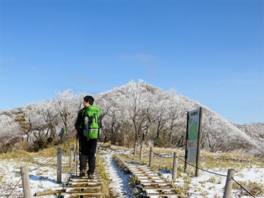 f:id:aohige0718:20190211205319j:plain 目指す塔ノ岳も霧氷で真っ白