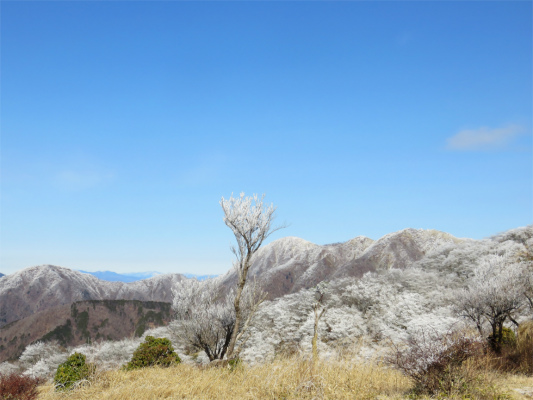 f:id:aohige0718:20190211205327j:plain 360度どこ見ても霧氷祭り