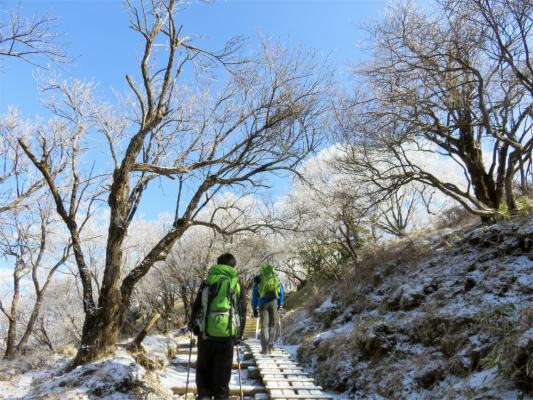 f:id:aohige0718:20190211205545j:plain 塔ノ岳までの登山道も霧氷が綺麗