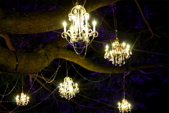 庭園に色々なイルミネーション