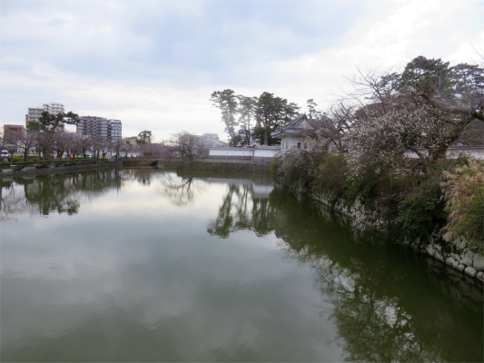 小田原城のお堀の様子