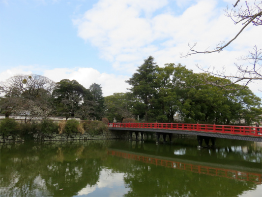 小田原城お堀周辺桜並木