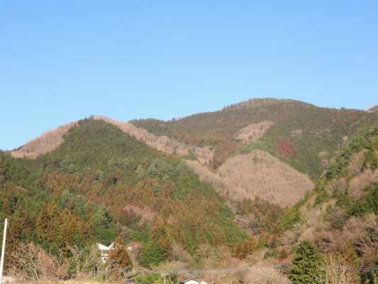 目指す笹子雁ヶ腹摺山方面