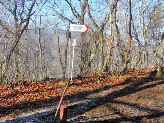 笹子雁ヶ腹摺山登山道上のＰ１，１８８ｍ